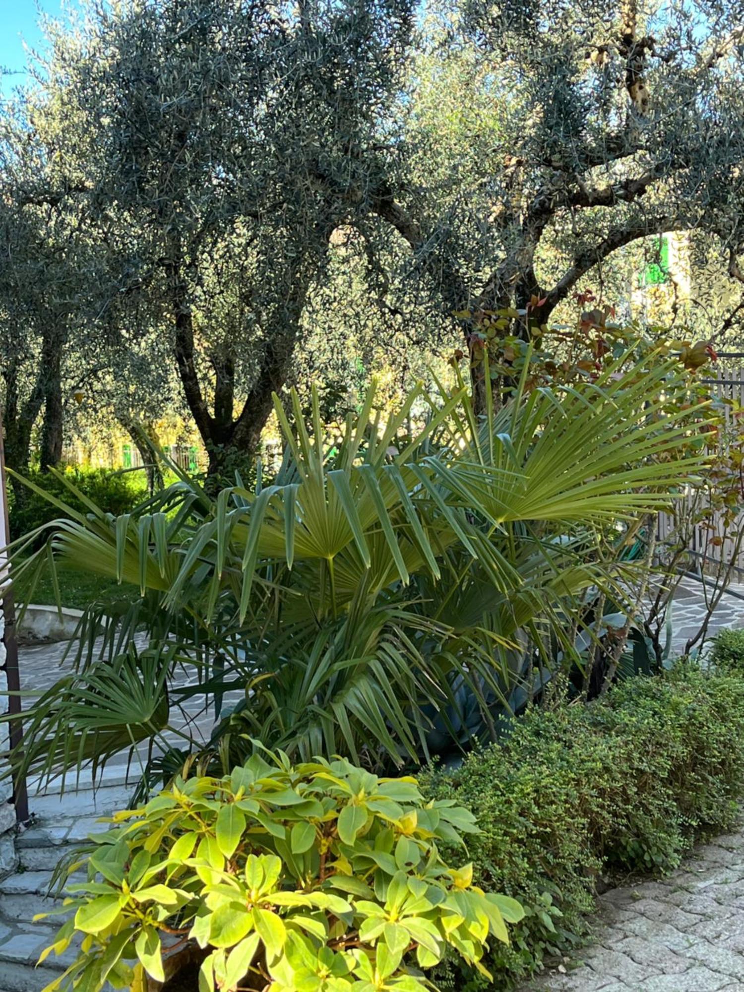 Casa Noario Apartment Malcesine Luaran gambar