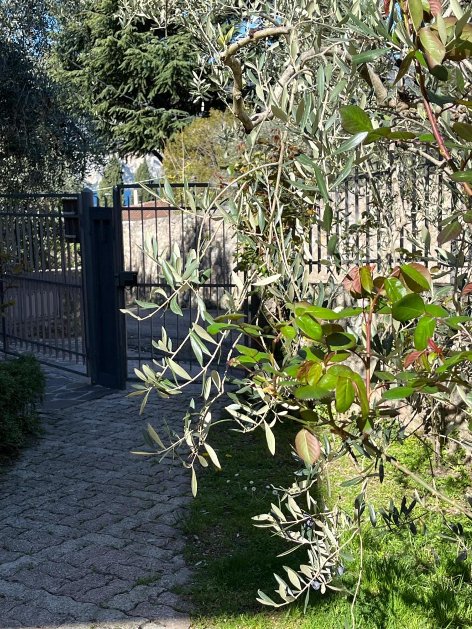 Casa Noario Apartment Malcesine Luaran gambar